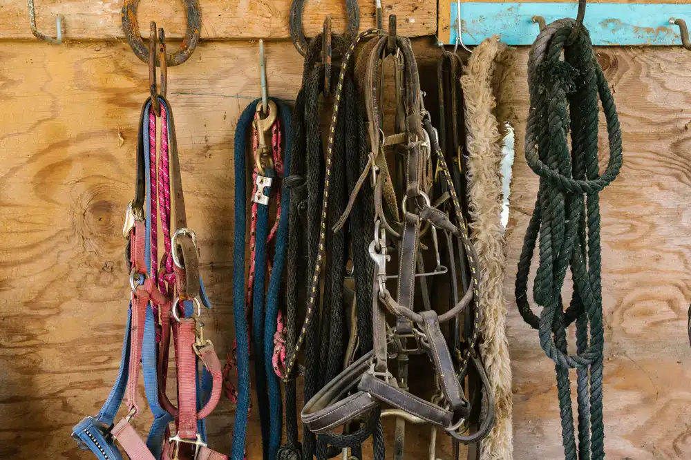 Thick leather belts hanging from brass hooks in the workshop